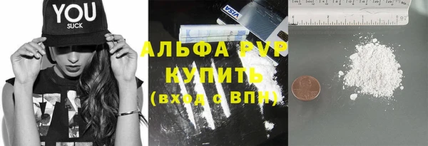 индика Орск
